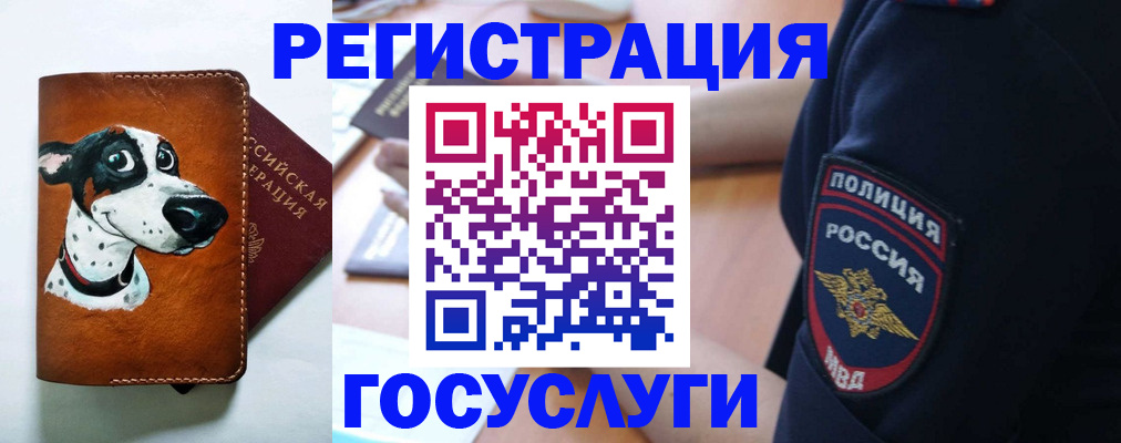 временная регистрация в квартире в Кашине